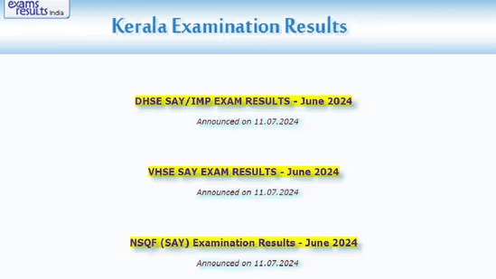 Kerala Plus Two SAY Result 2024